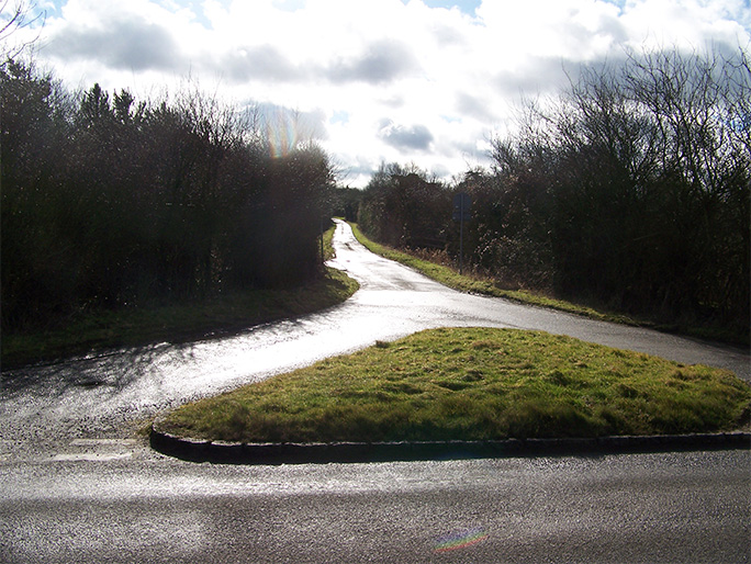 roundabout with trees either side